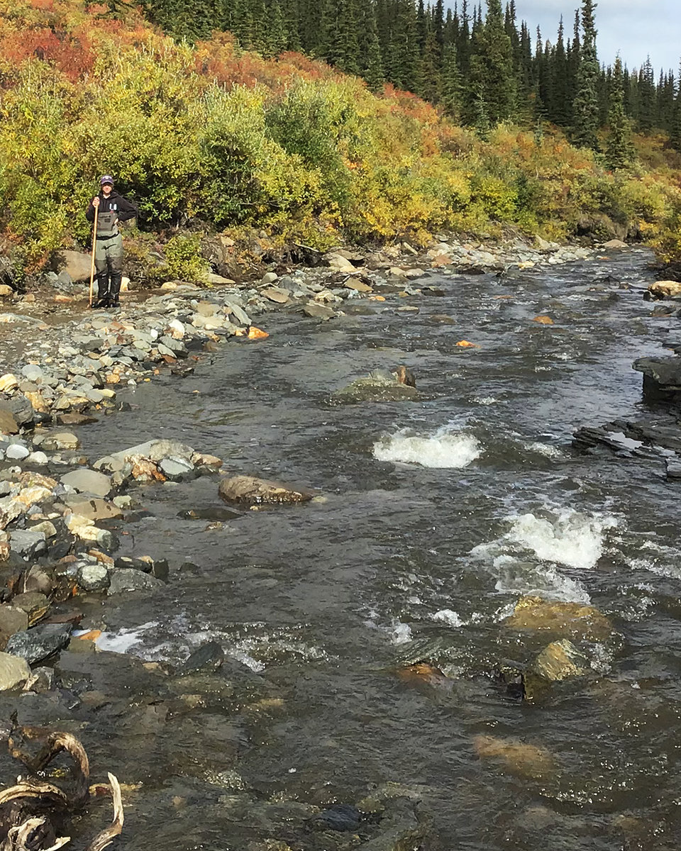 Aquatic Ecology Field Technicians